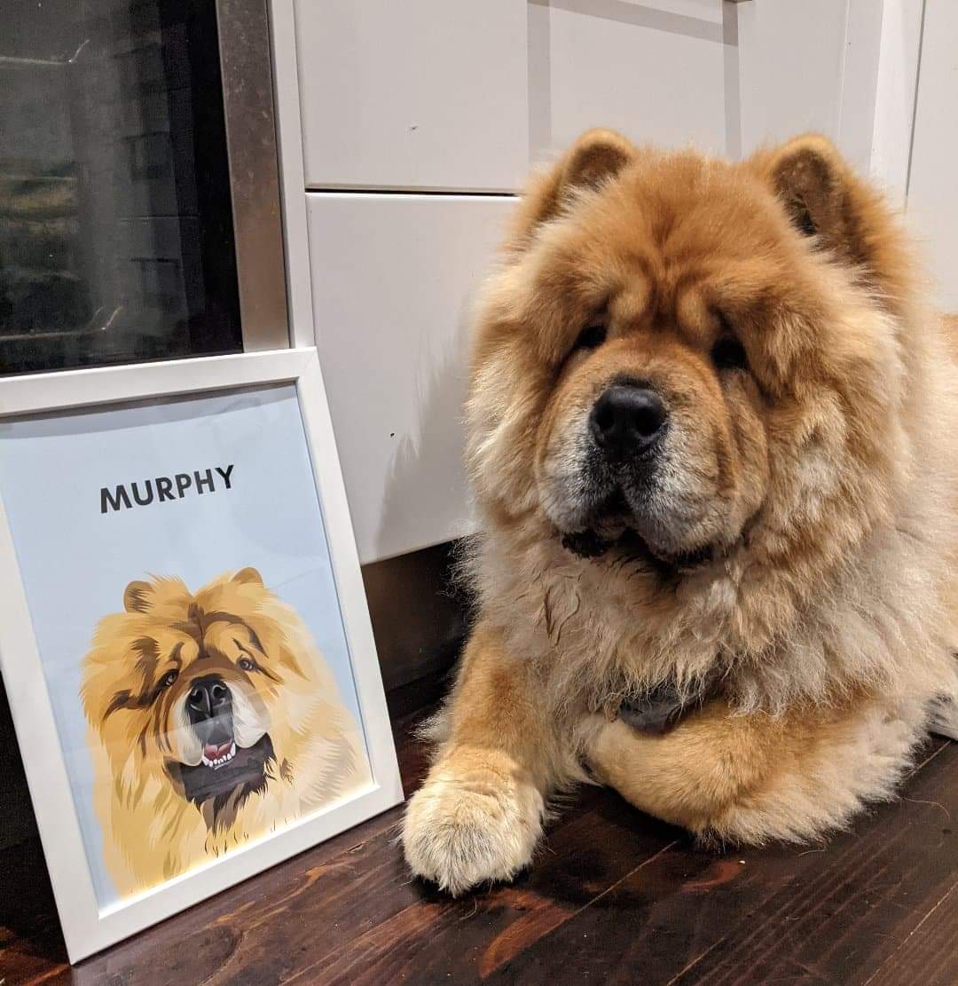 Custom Pet Portrait - Framed Print (ONE PET)